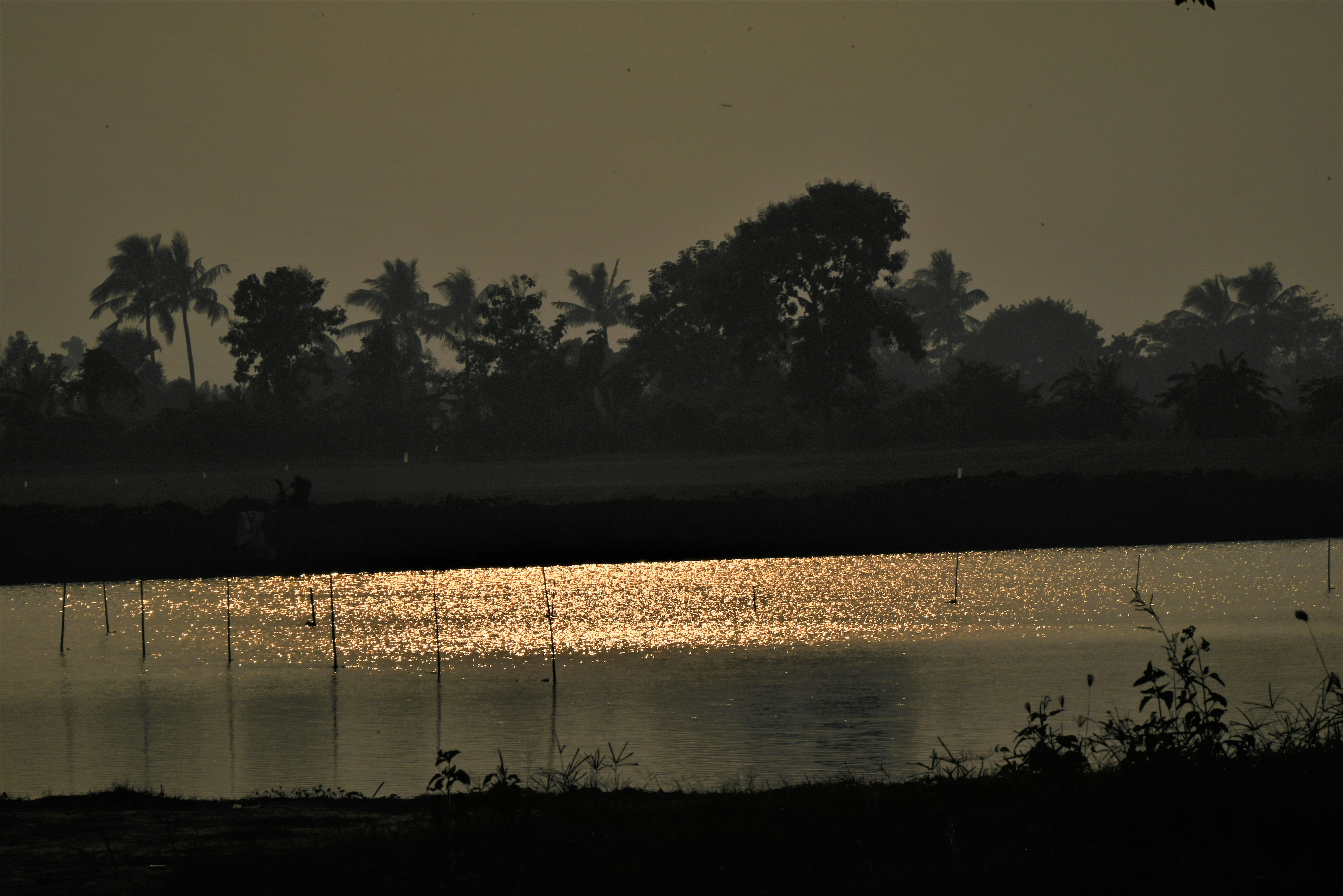 A peaceful scene depicting dawn after Tahajjud prayer