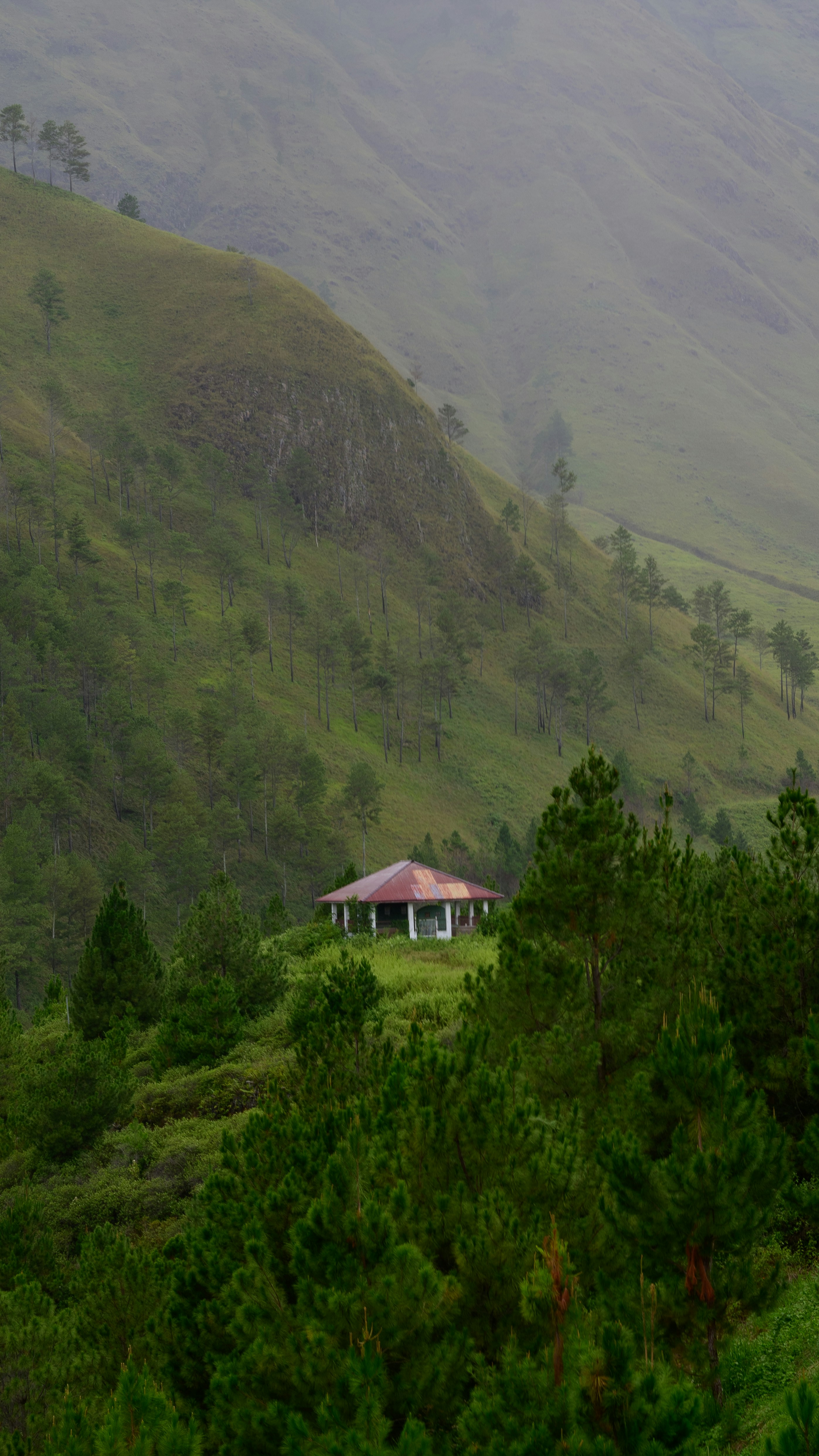 a house in the middle of a lush green hillside