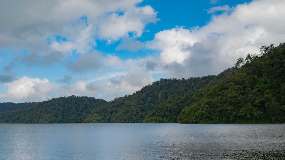 a large body of water surrounded by trees