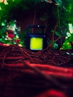 A rectangular portable light with a bright yellow front is surrounded by vibrant greenery. It is positioned among some tree roots and foliage, creating a natural setting with rich textures.