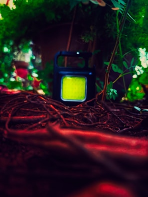 A rectangular portable light with a bright yellow front is surrounded by vibrant greenery. It is positioned among some tree roots and foliage, creating a natural setting with rich textures.