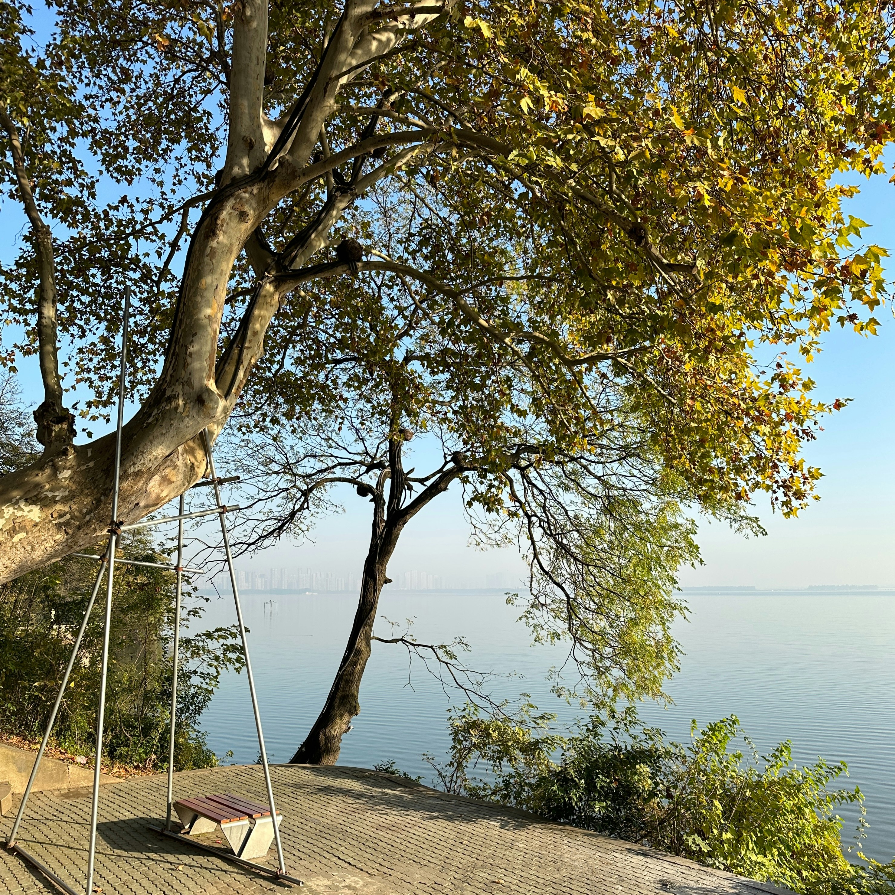 a swing sitting on top of a wooden floor next to a tree