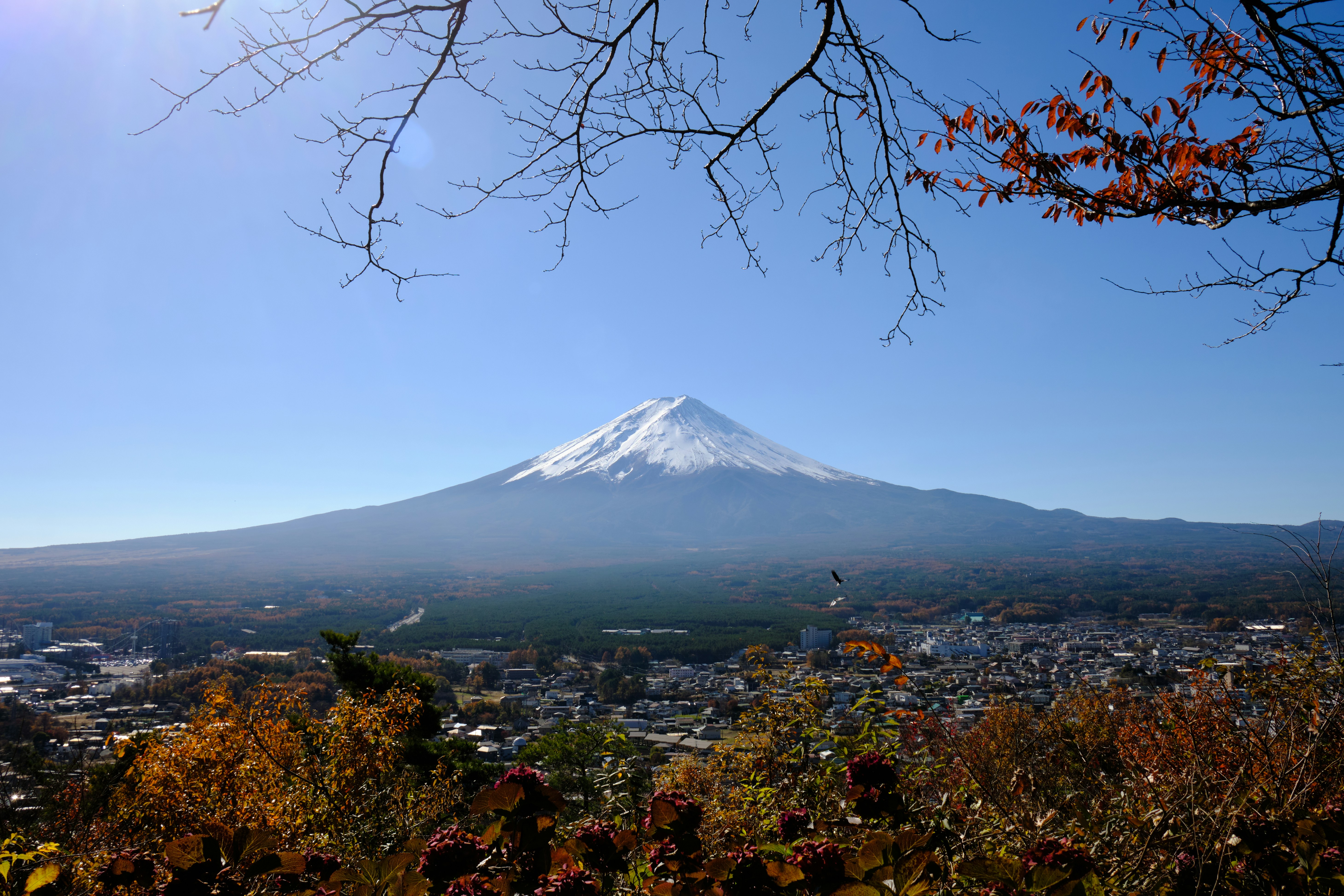 mount fuji clear day japan