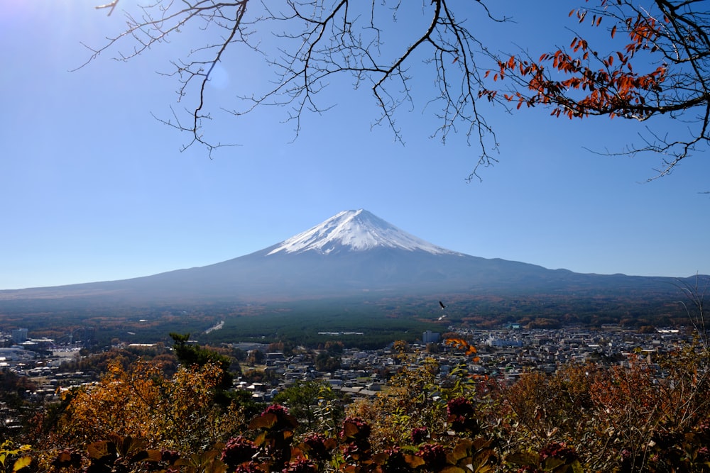 a view of a mountain in the distance with trees in the foreground