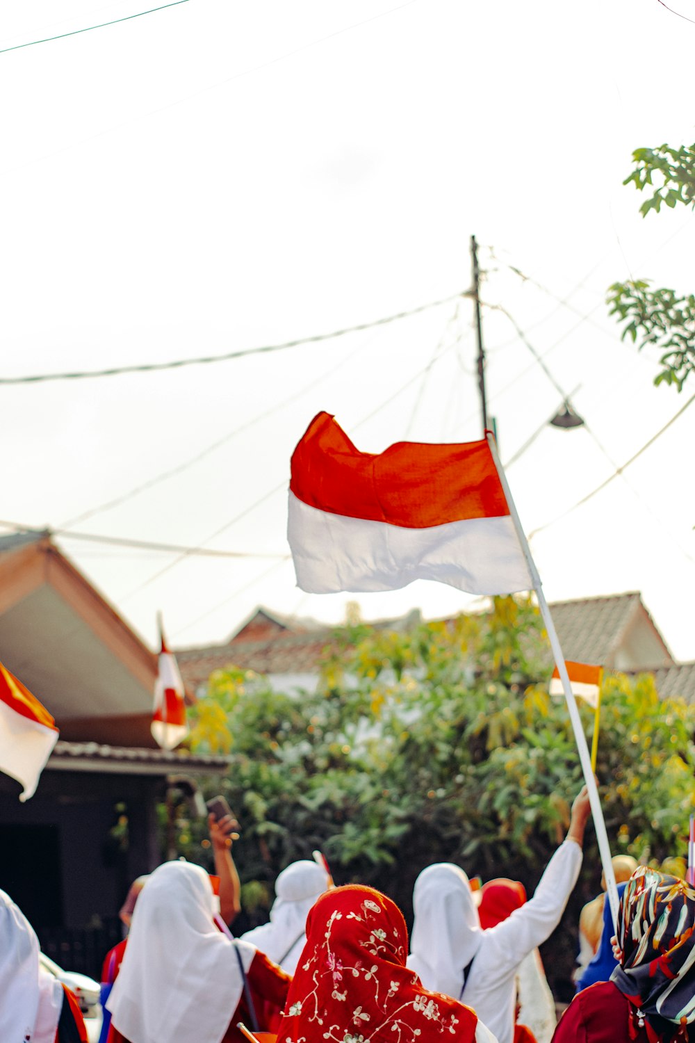 a group of people holding flags in a parade