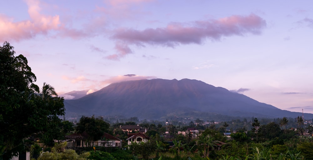 a view of a mountain in the distance