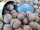 An assortment of walnuts spilling out of an open metal can, displaying their rough, textured shells.