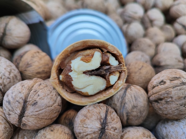 A bunch of nuts that are next to a can