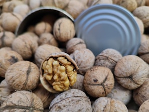 Close-up of candlenuts being carefully inspected for quality