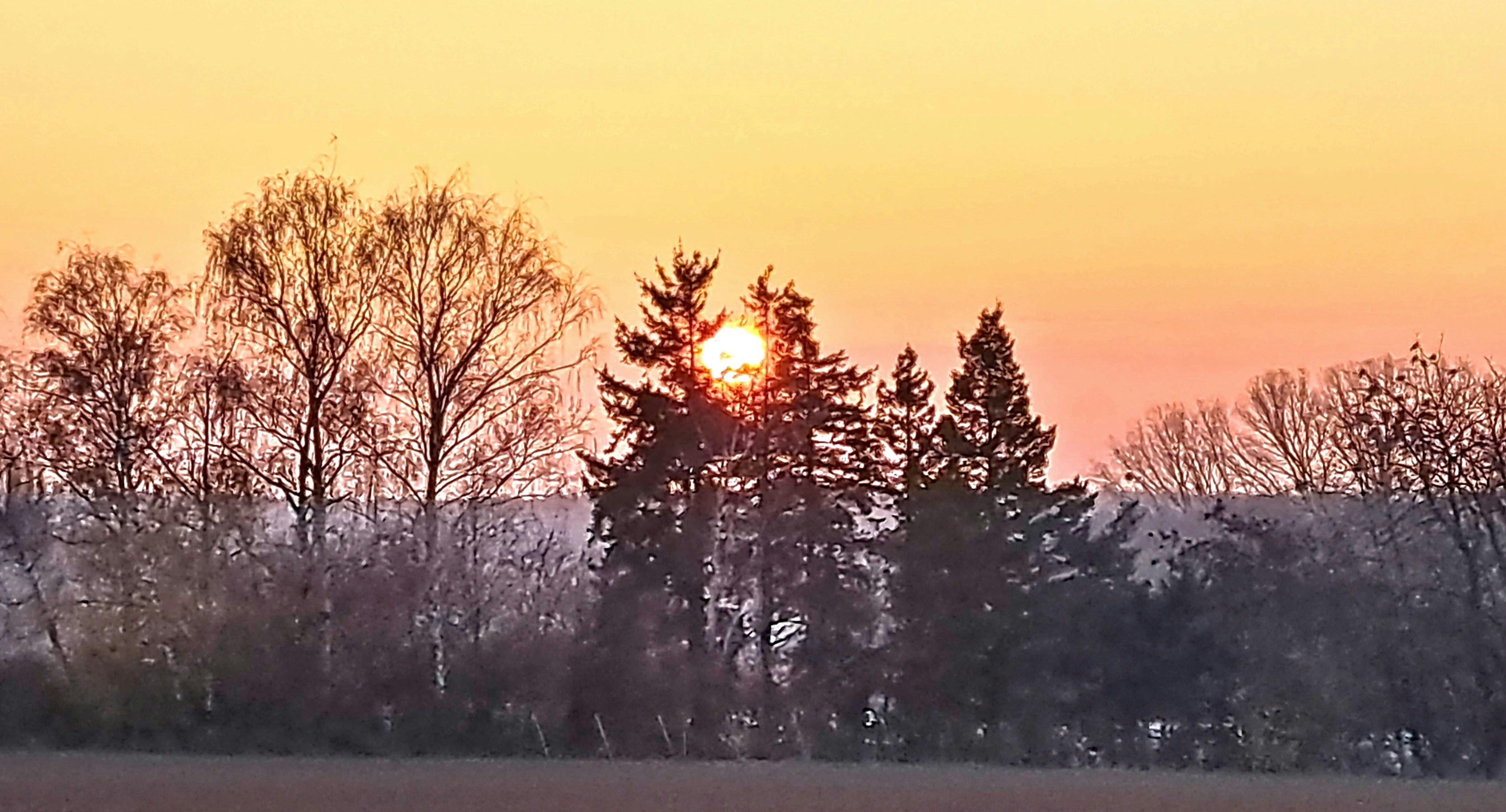 Photo by schreibmich