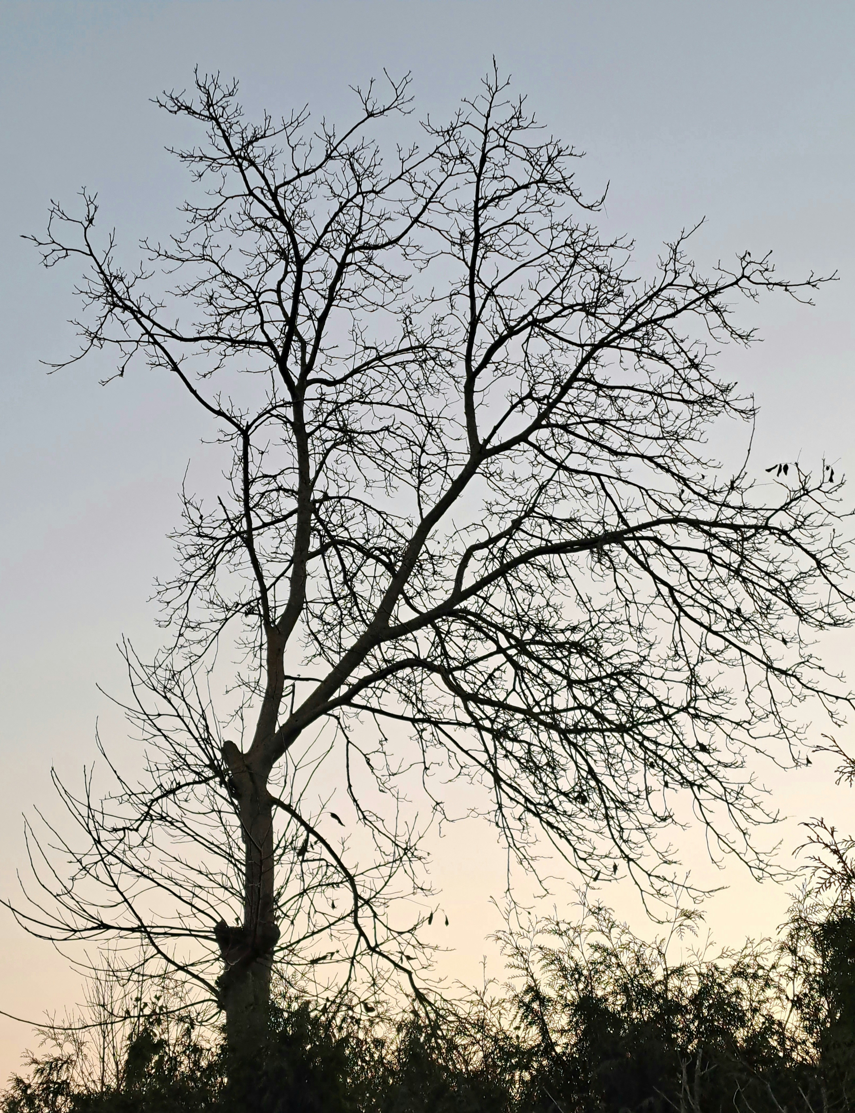 Photo by schreibmich