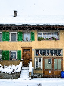 A quaint house is adorned with vibrant green shutters and a snowy roof. Snow falls gently, covering the steps and surrounding plants. The windows display various decorative figures and some potted plants. A wooden door and a parking sign next to large windows add to the cozy ambiance.