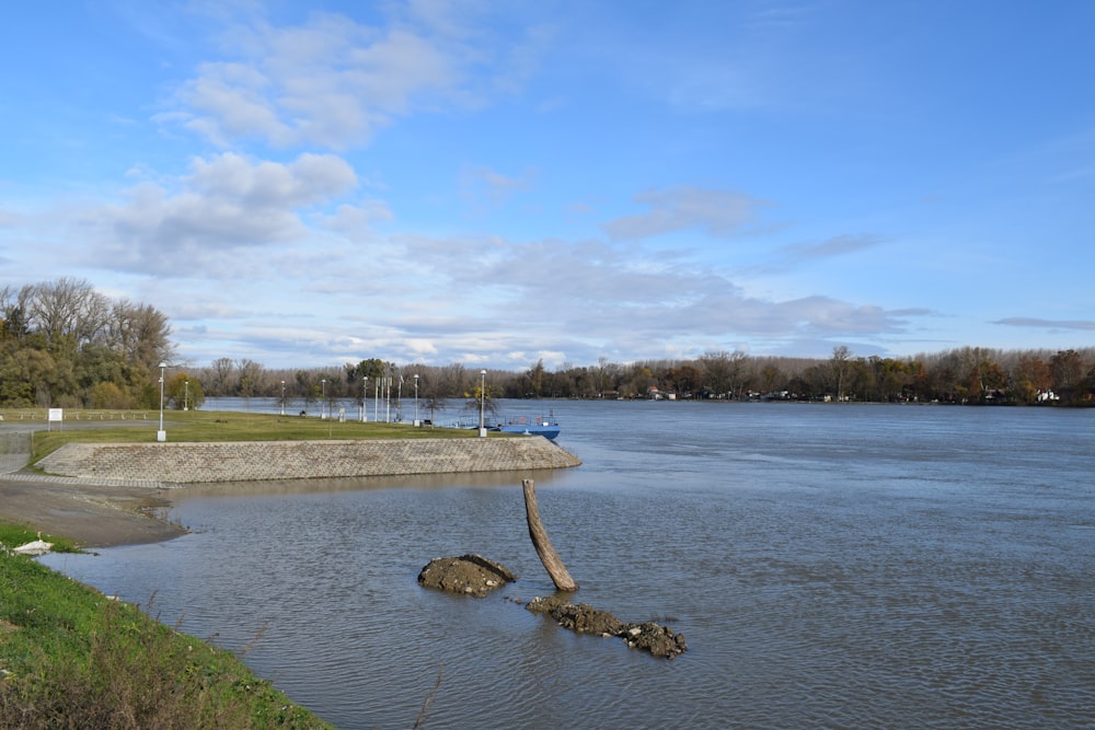 a large body of water with a tree stump sticking out of it