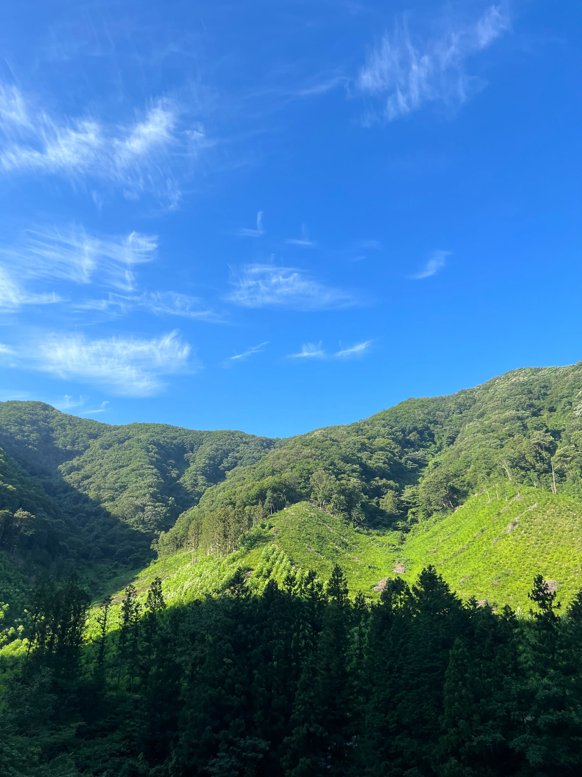 a scenic view of the mountains and trees