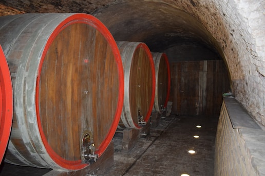 Several large wooden barrels with red rims are lined up in a dimly lit stone cellar with an arched ceiling. The floor is made of cobblestones, and small circular lights illuminate the path.