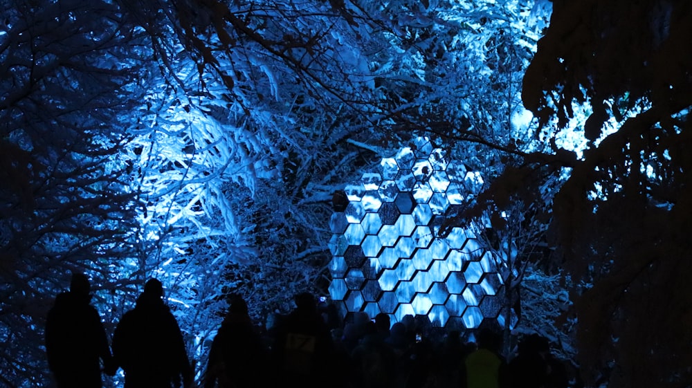 a group of people standing next to each other in a forest