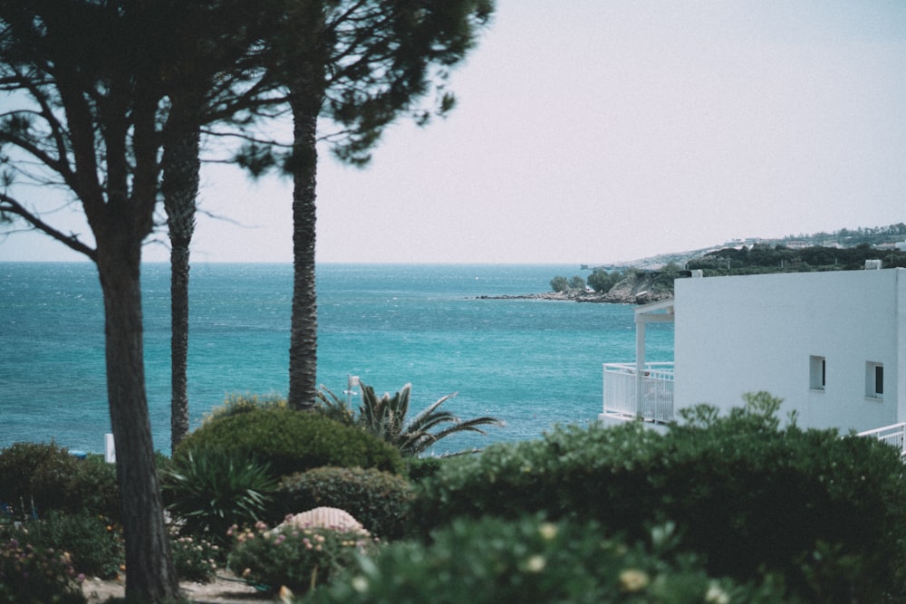 a view of a body of water from a hill