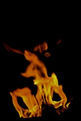 Screenshot of thermal combustion simulation interface displaying flame temperature distribution