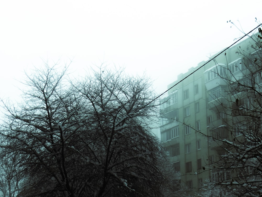 a street sign in front of a tall building on a snowy day