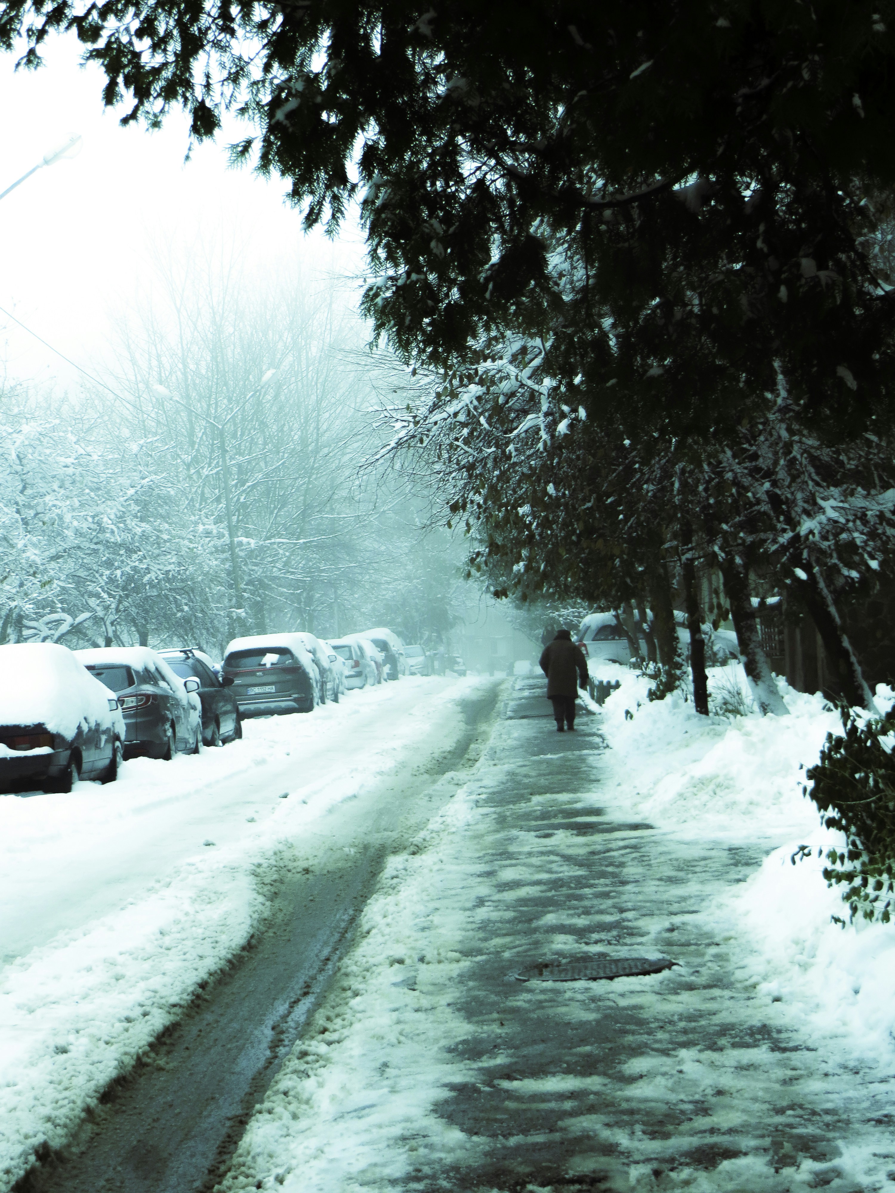 una persona che cammina lungo una strada innevata