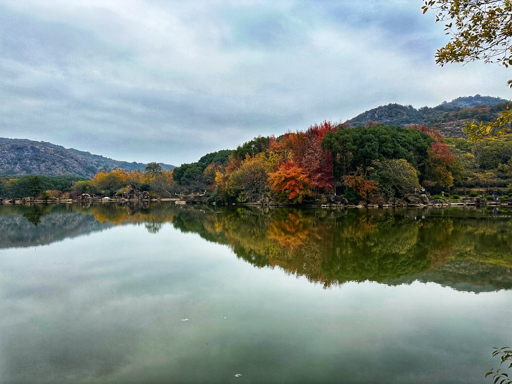 a body of water surrounded by trees and mountains