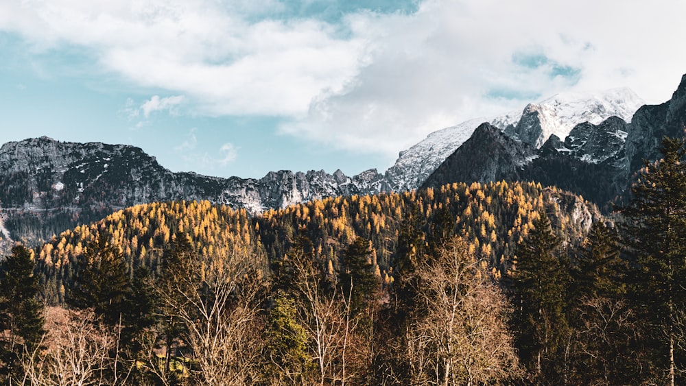 a mountain range with trees and mountains in the background