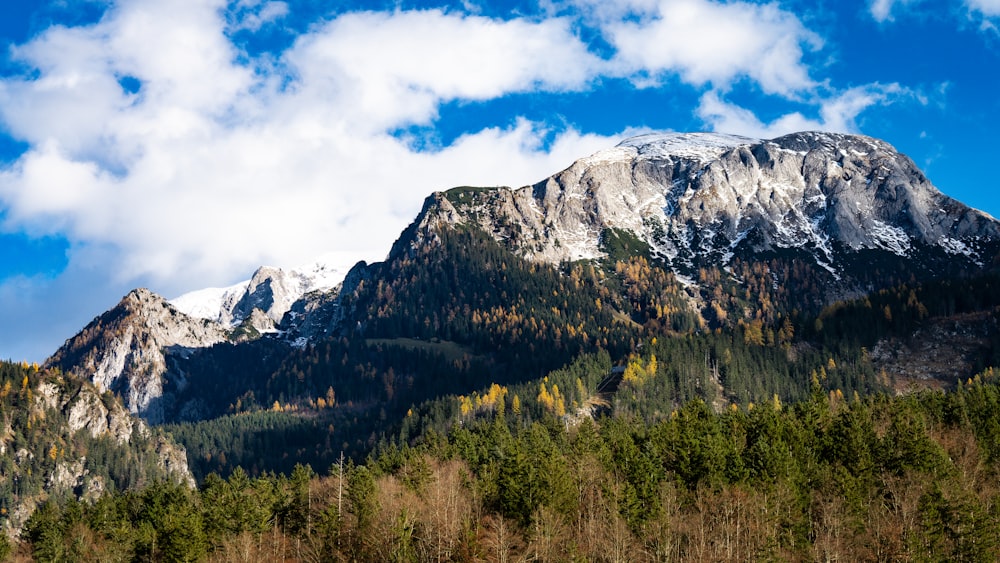 a mountain covered in snow and surrounded by trees