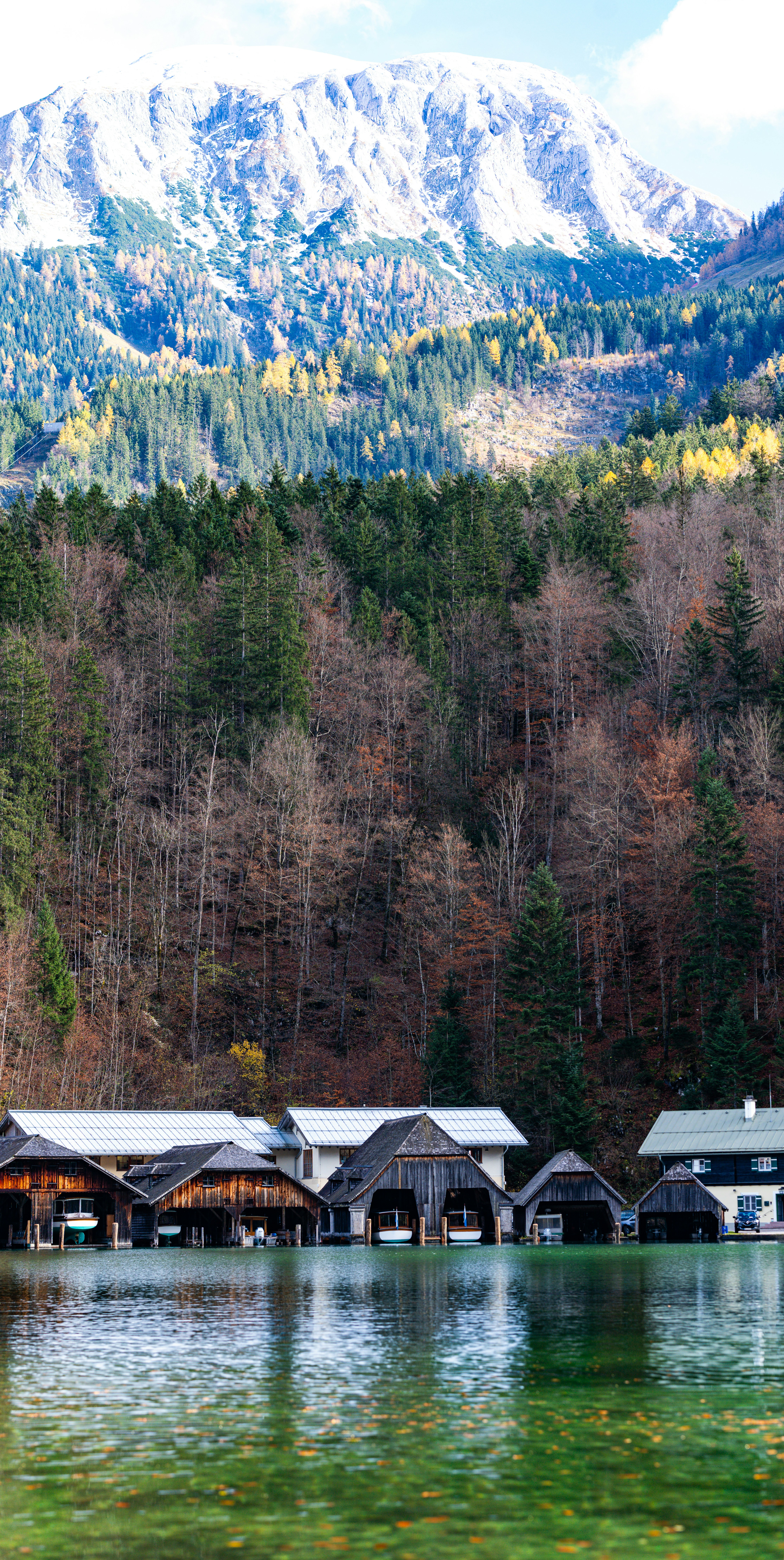 a group of houses sitting on top of a lake next to a forest