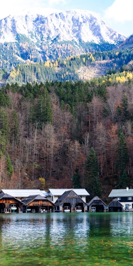 Snow-capped mountains in the background overlook a dense forest with a mix of evergreen and deciduous trees. Below the forest, a row of wooden boathouses lines the edge of a calm, reflective lake.