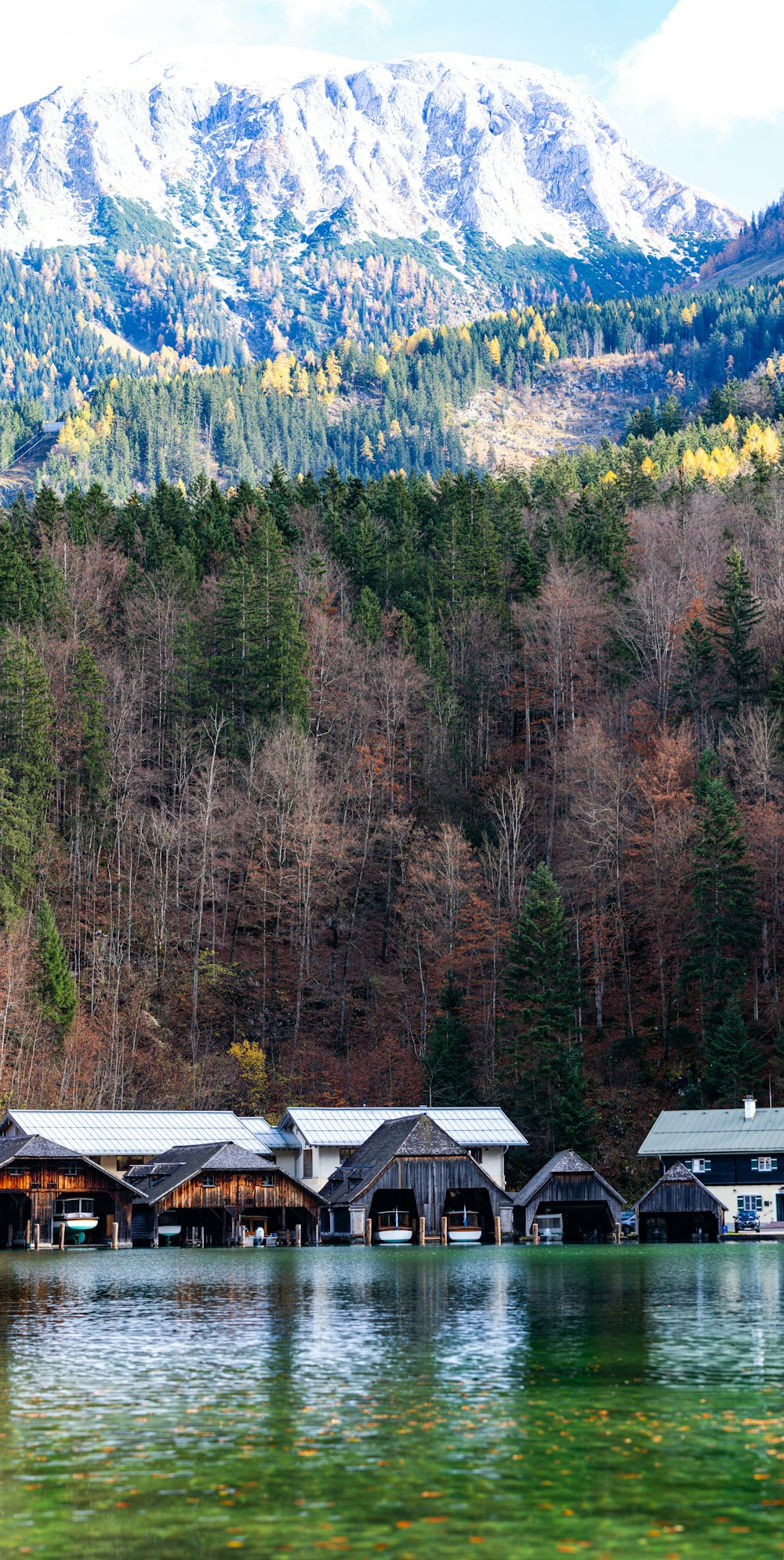 a group of houses sitting on top of a lake next to a forest