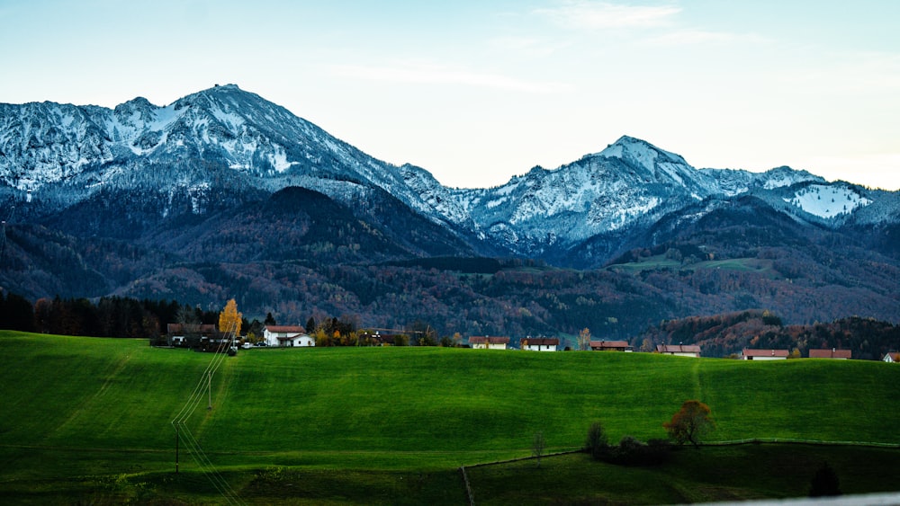 a green field with mountains in the background