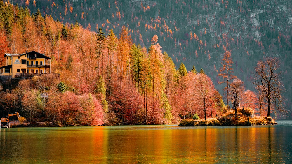 a lake surrounded by trees with a house in the background