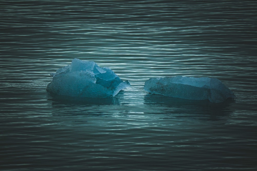 two icebergs floating in a body of water