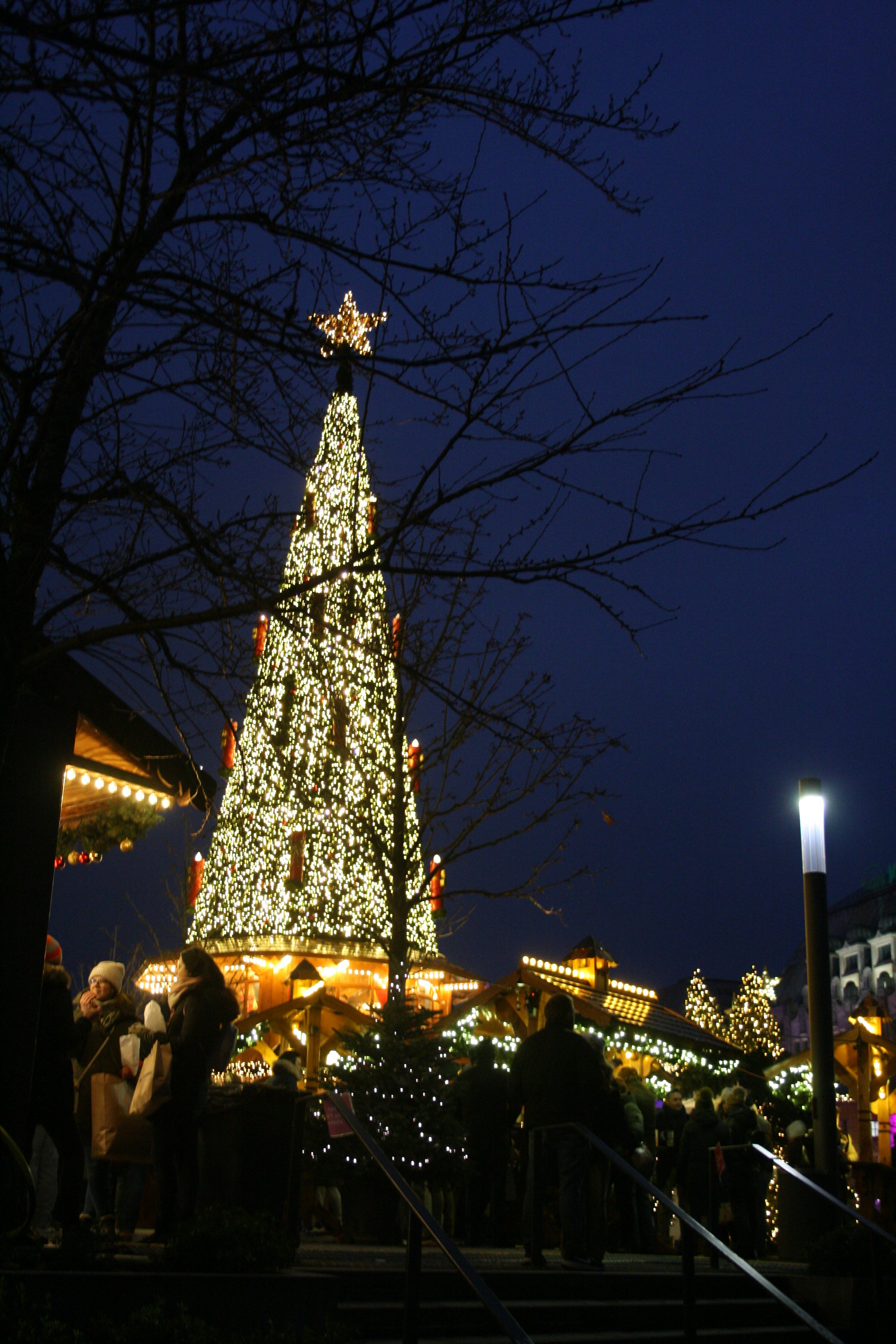 Photo by scarlettschreiber