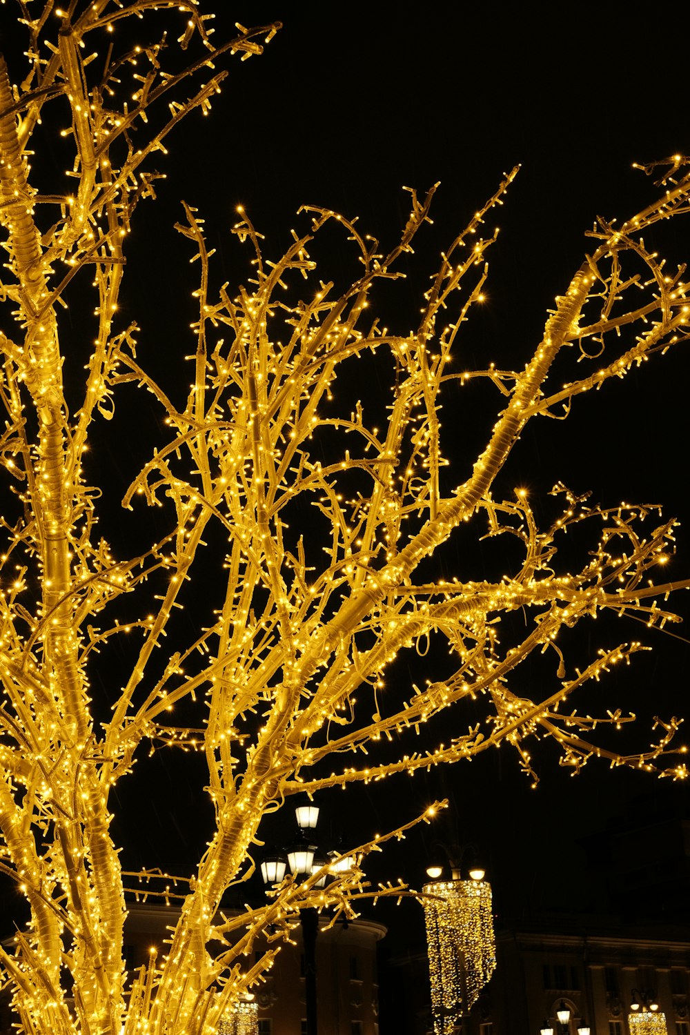 a lighted tree in front of a building at night