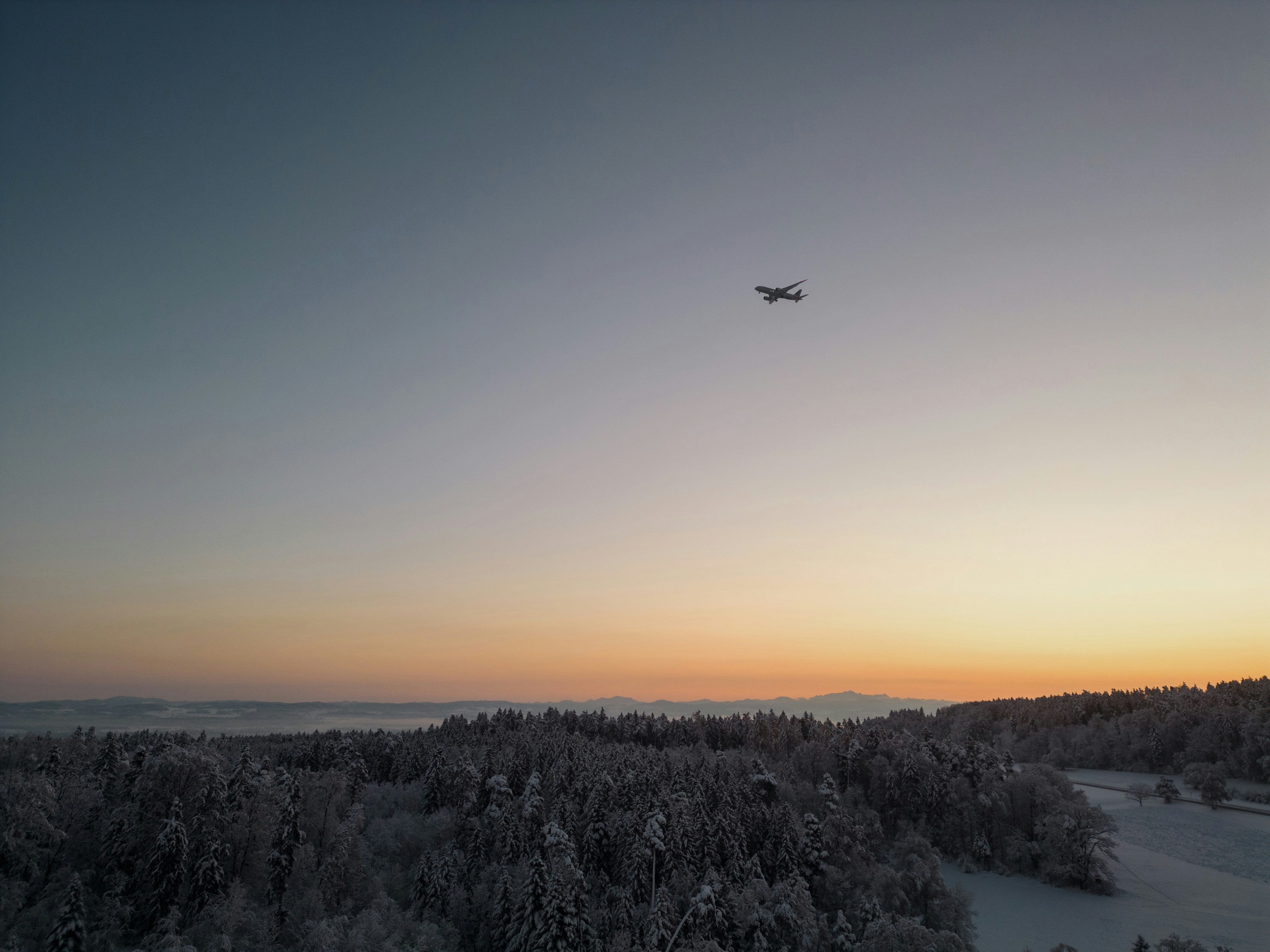 A plane flying over a forest covered in snow photo – Free Forest Image ...