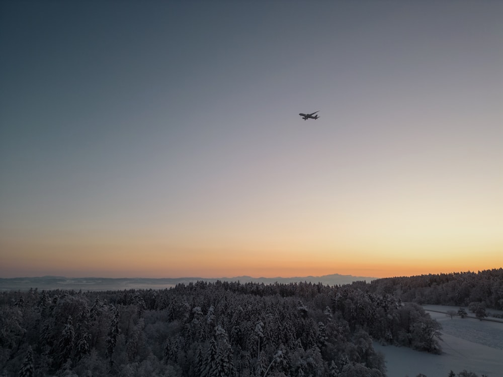 A plane flying over a forest covered in snow photo – Free