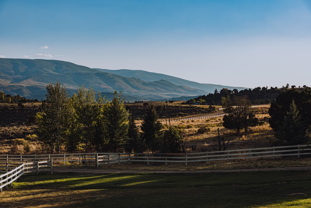 una valla blanca en un campo con montañas al fondo