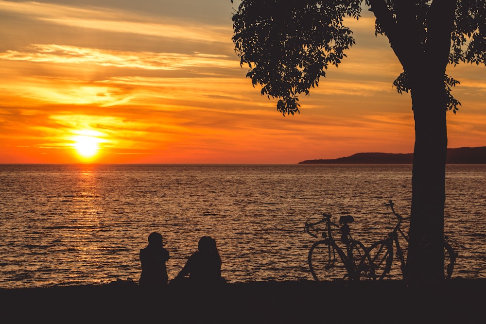 a couple of people sitting next to a tree near a body of water