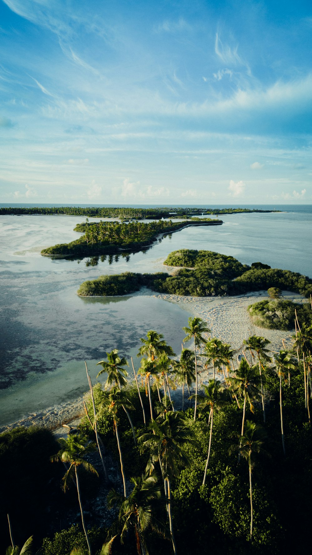 a group of small islands surrounded by palm trees