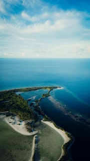 Aerial view of a pristine Brazilian coastline with lush greenery and clear blue waters.