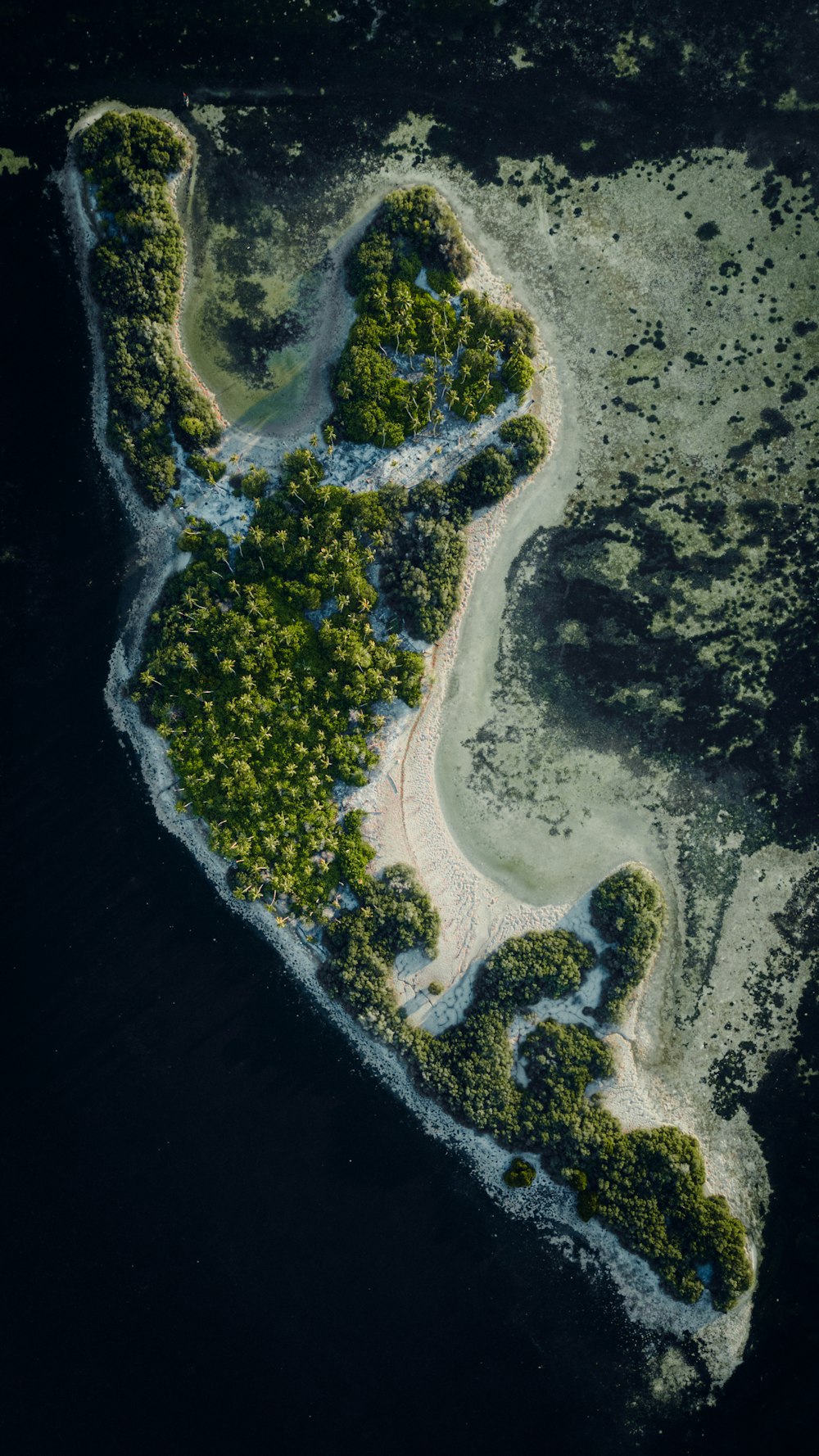 an aerial view of an island in the ocean