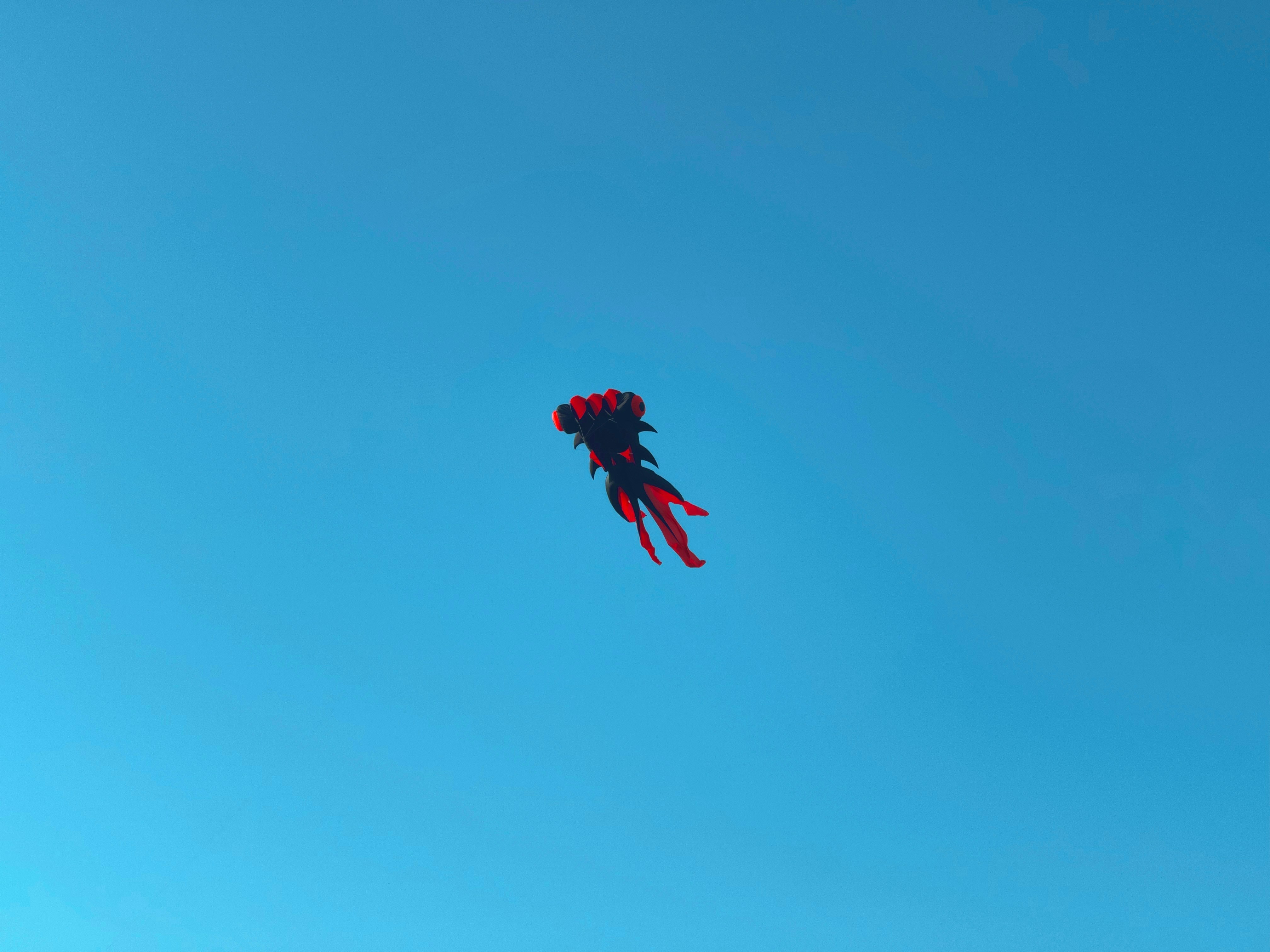 Kite