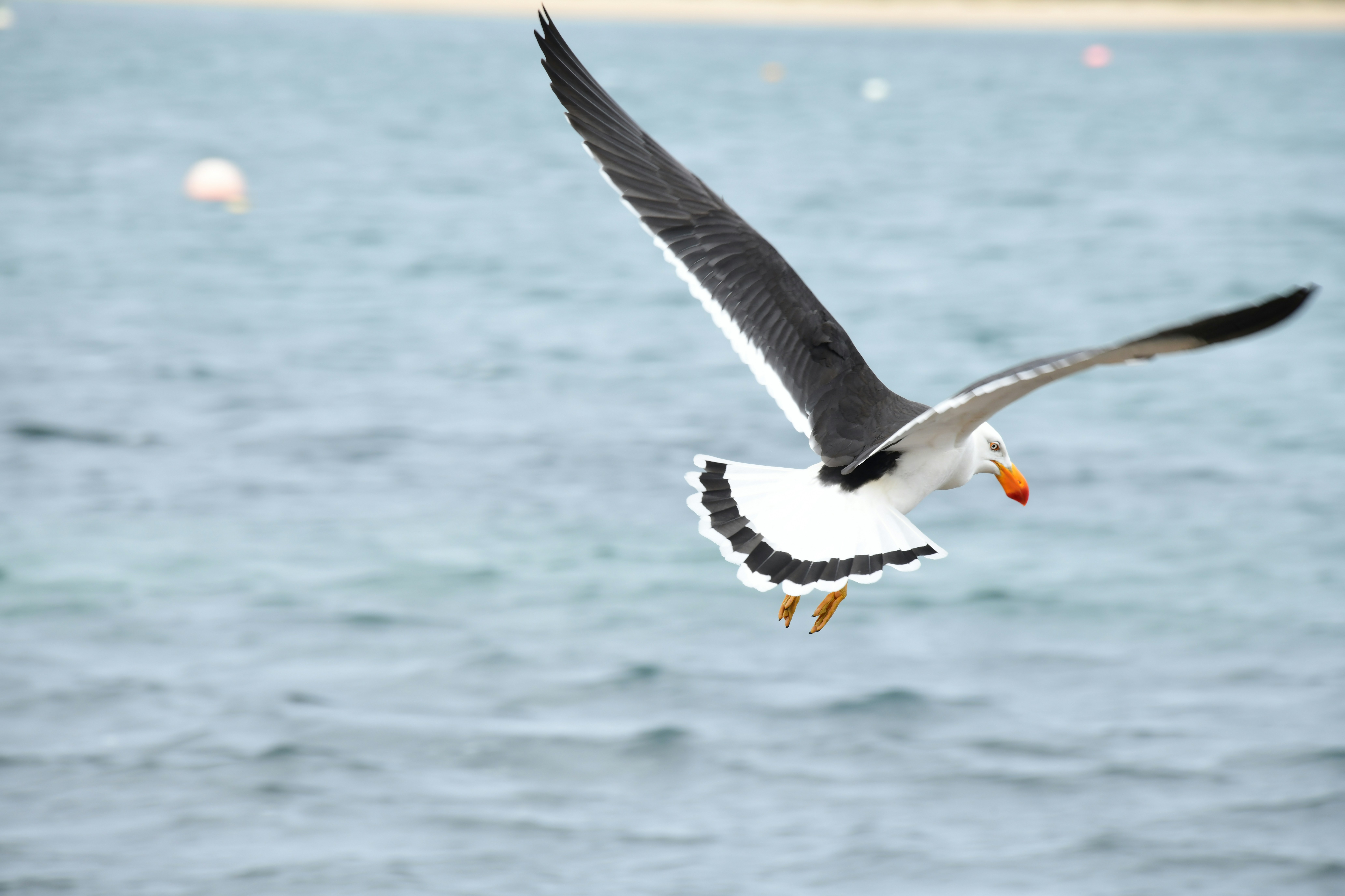 Photo by richard7seals