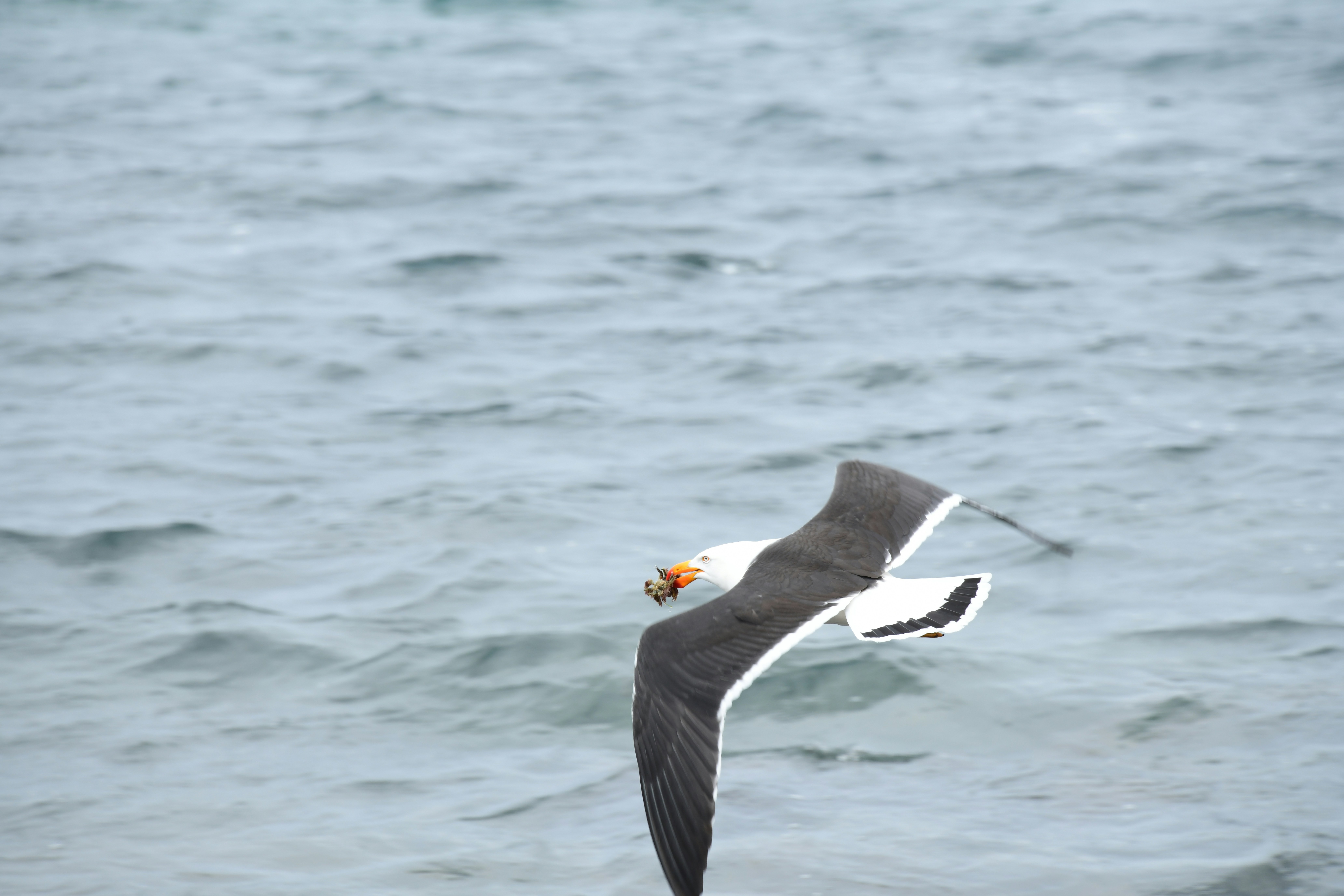 Photo by richard7seals