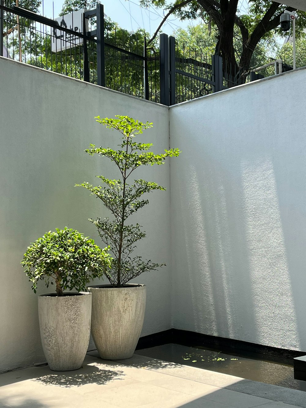 two large planters sitting next to a white wall