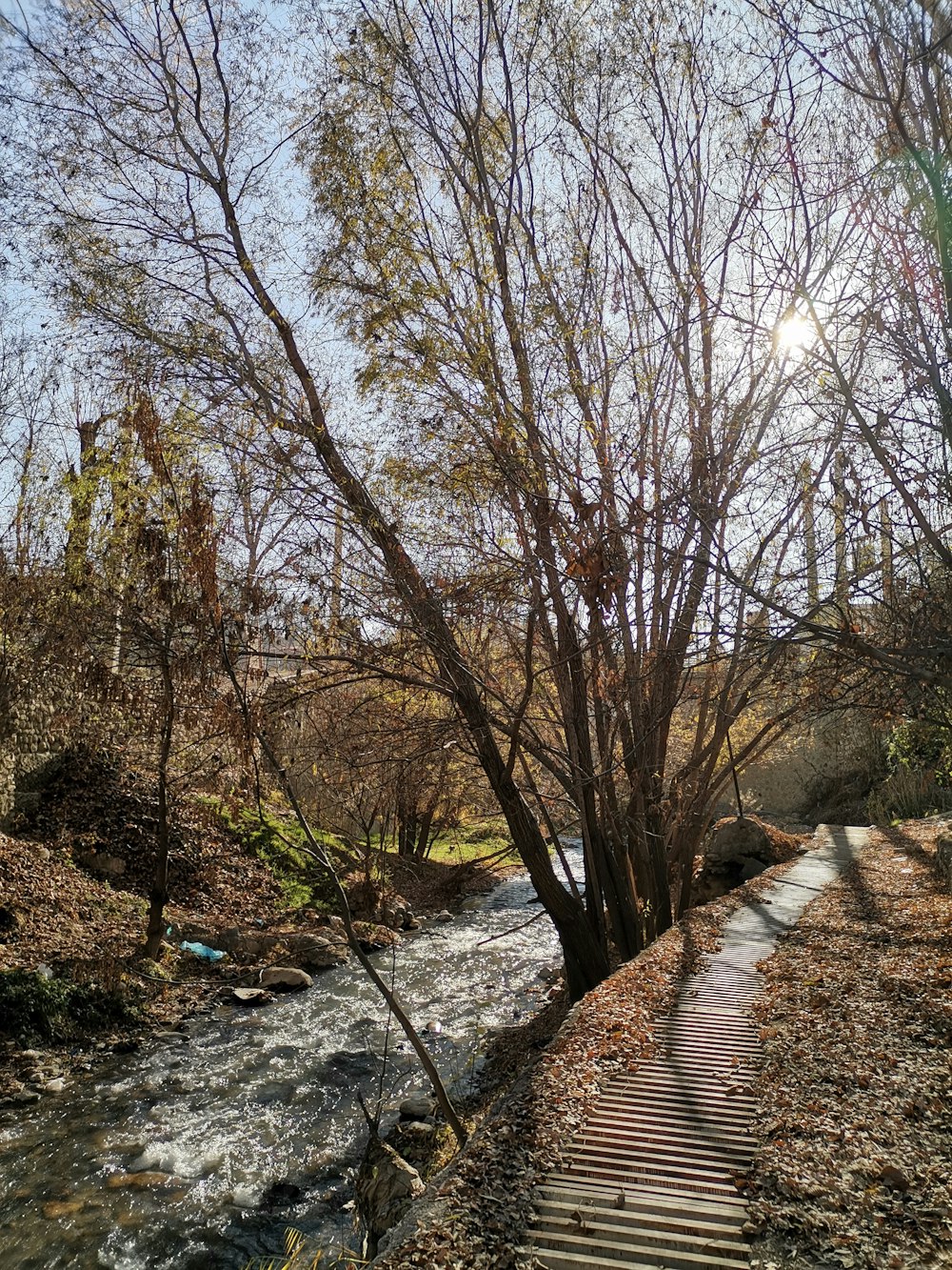 a wooden walkway next to a river in the woods