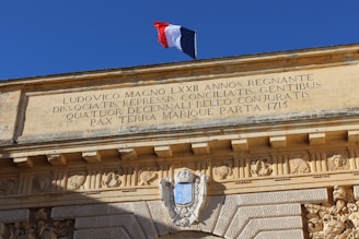 A historic fleur de lis emblem carved in stone on an ancient building.
