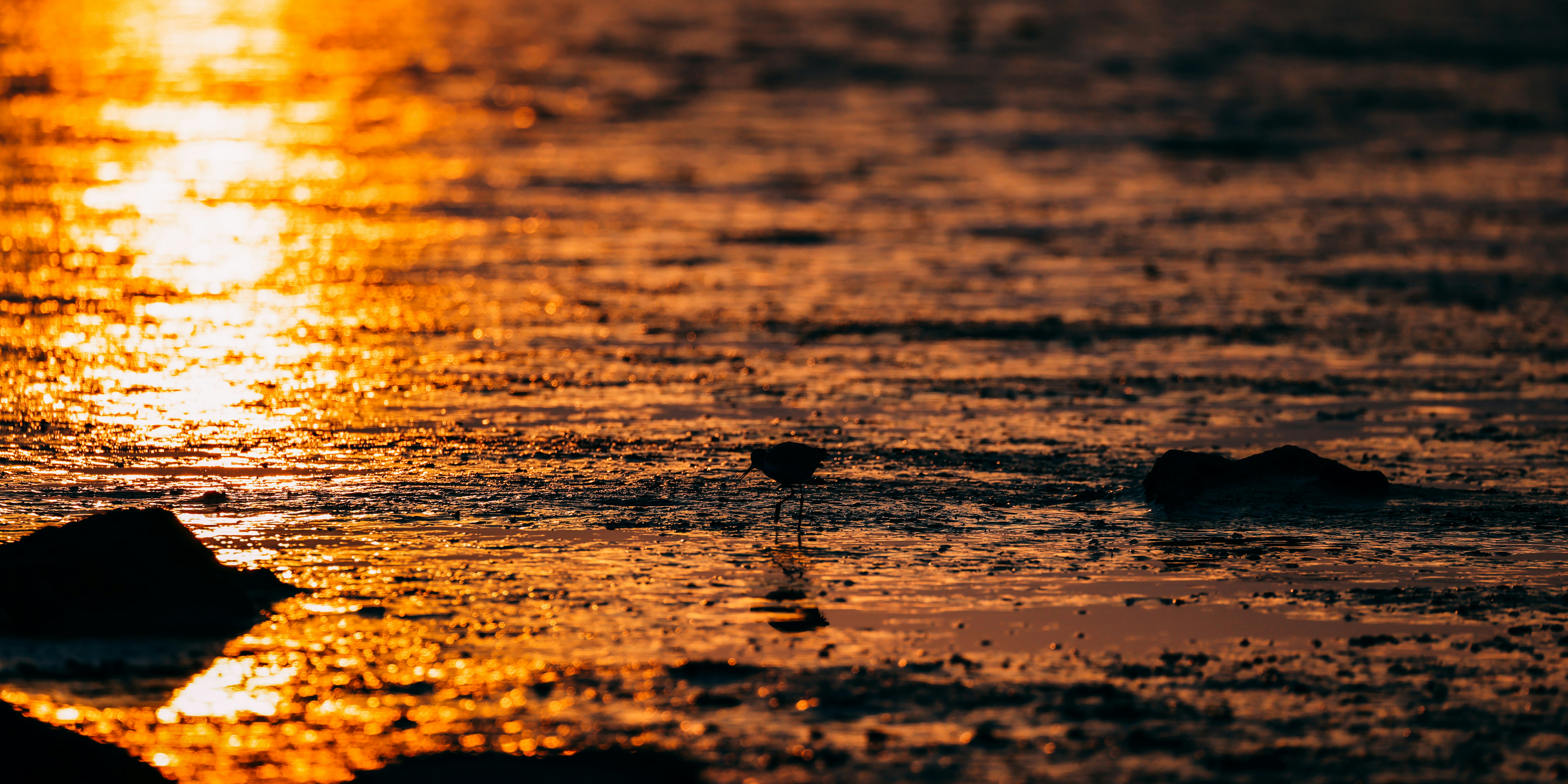 Photo by dickenslin76