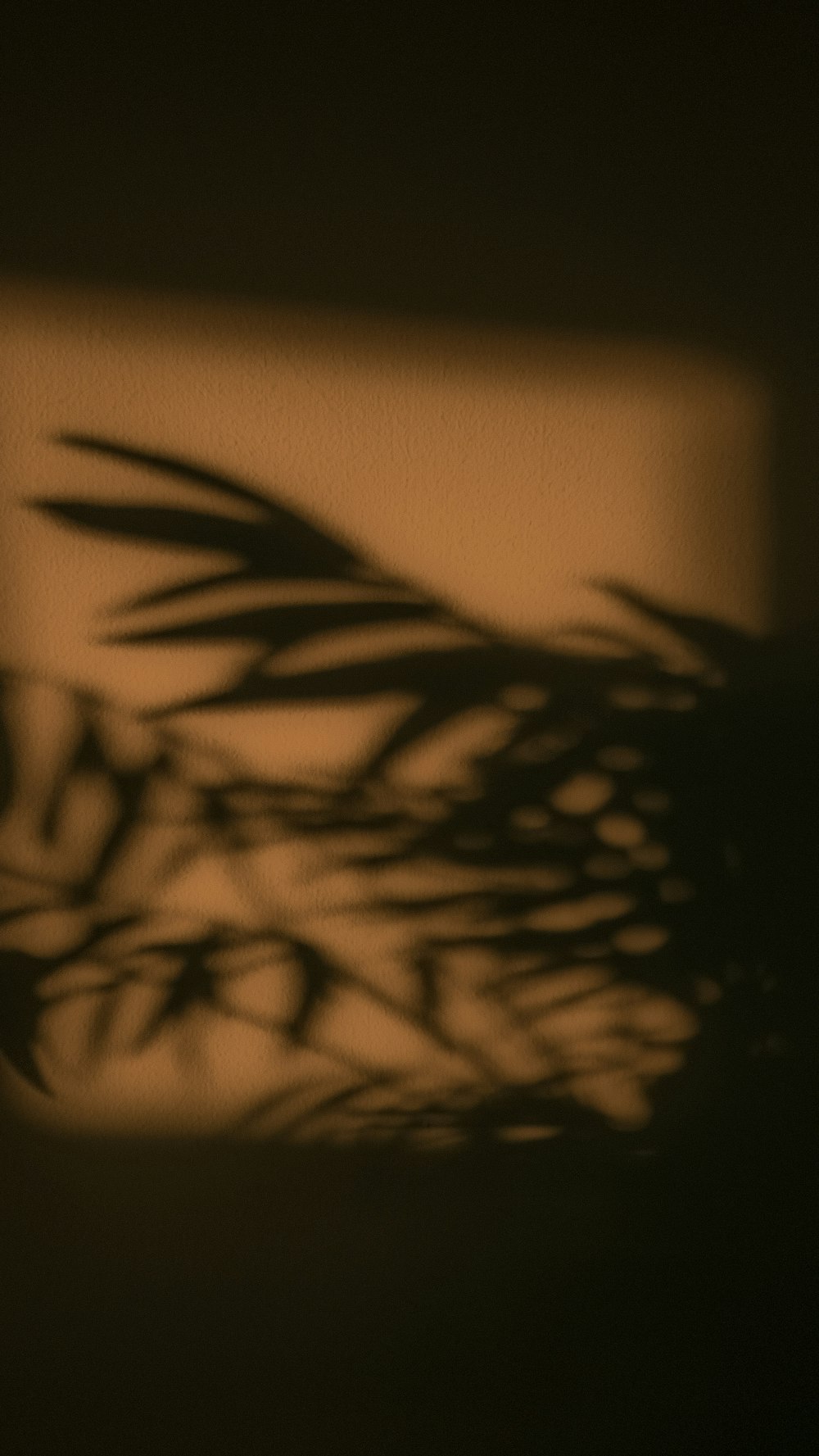 a shadow of a plant on a wall